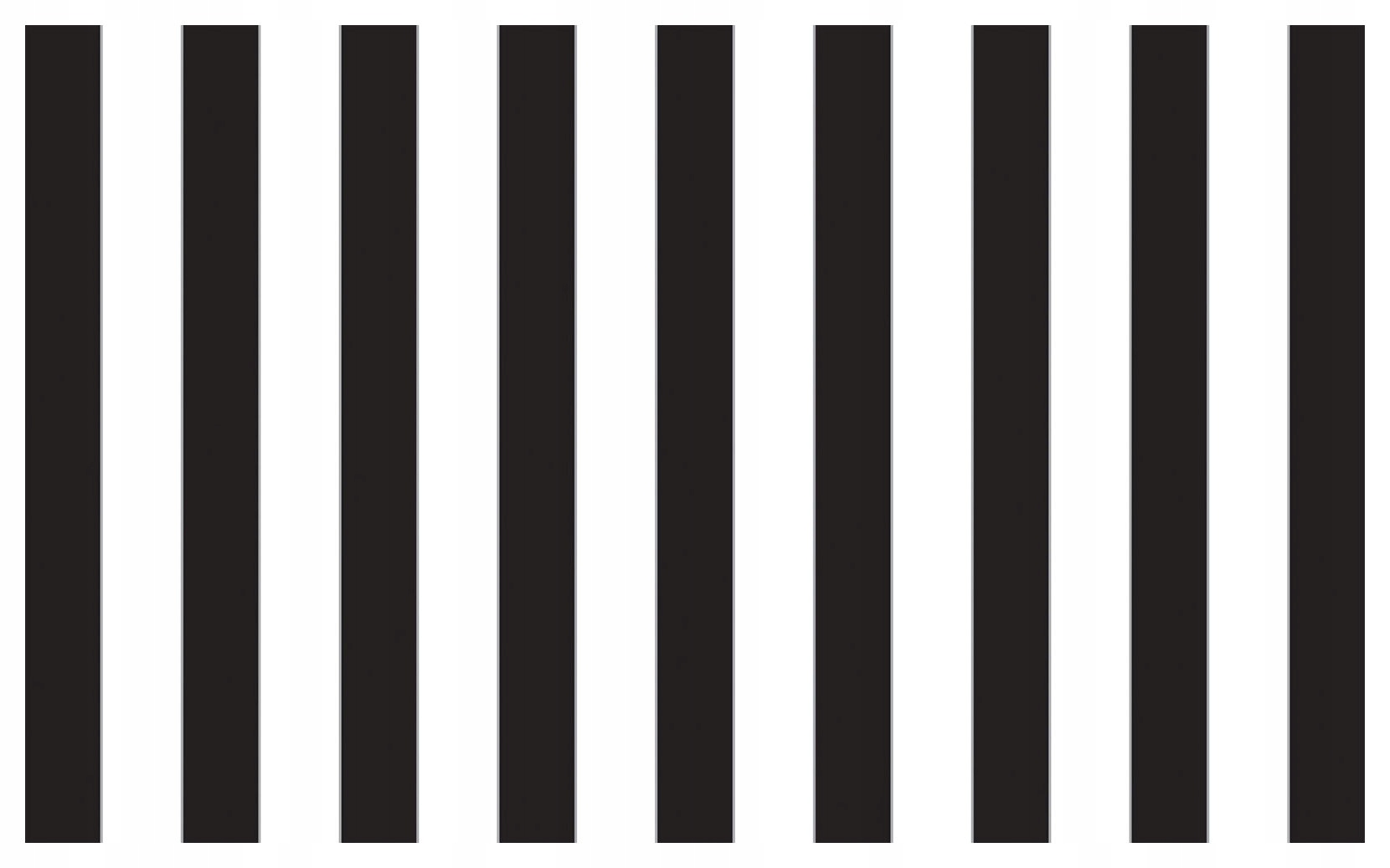 Fototapeta Černé a bílé pruhy minimalismus grafika kontrast 208x146 lepidlo