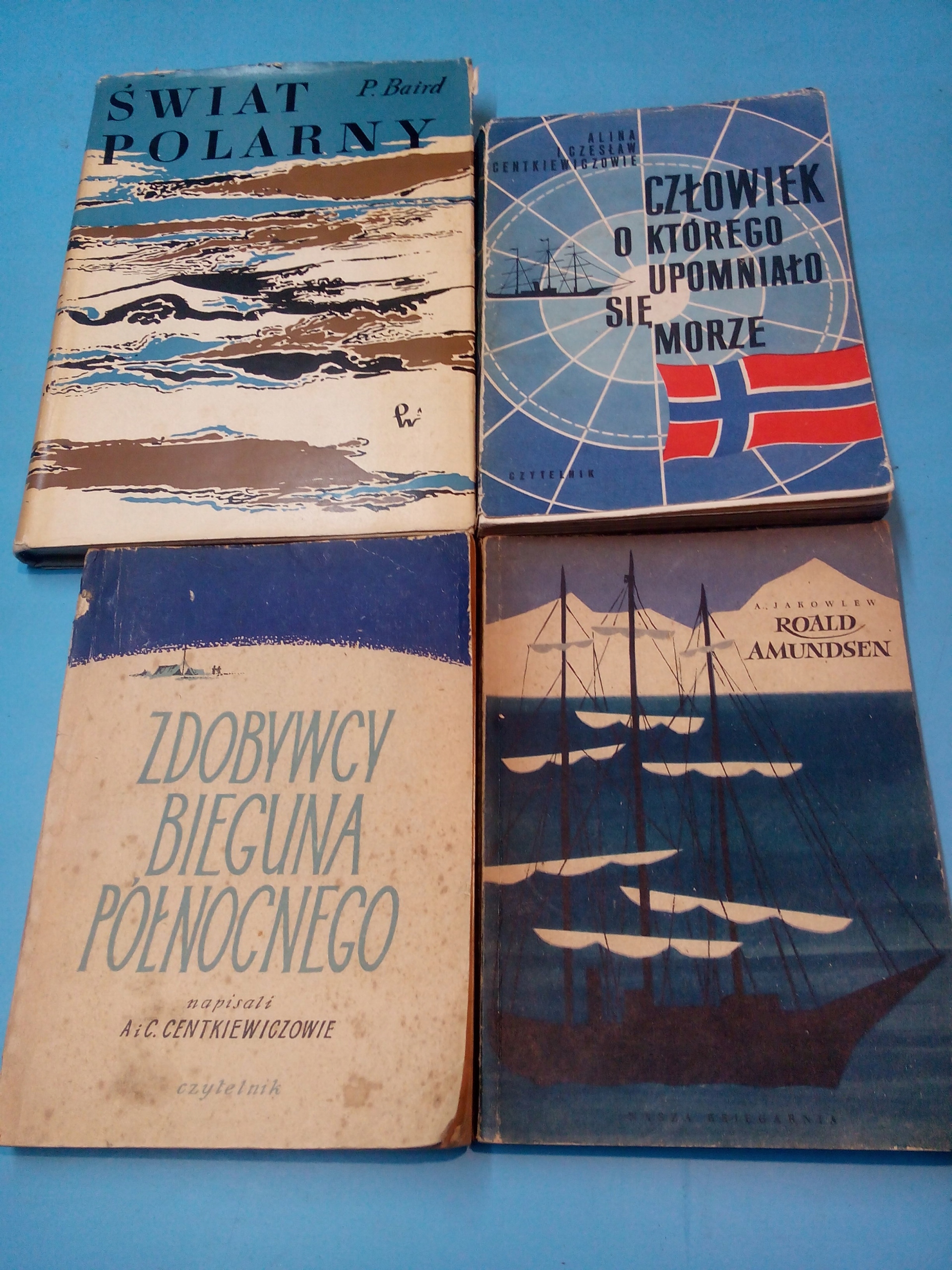 Świat Polarny P Baird
