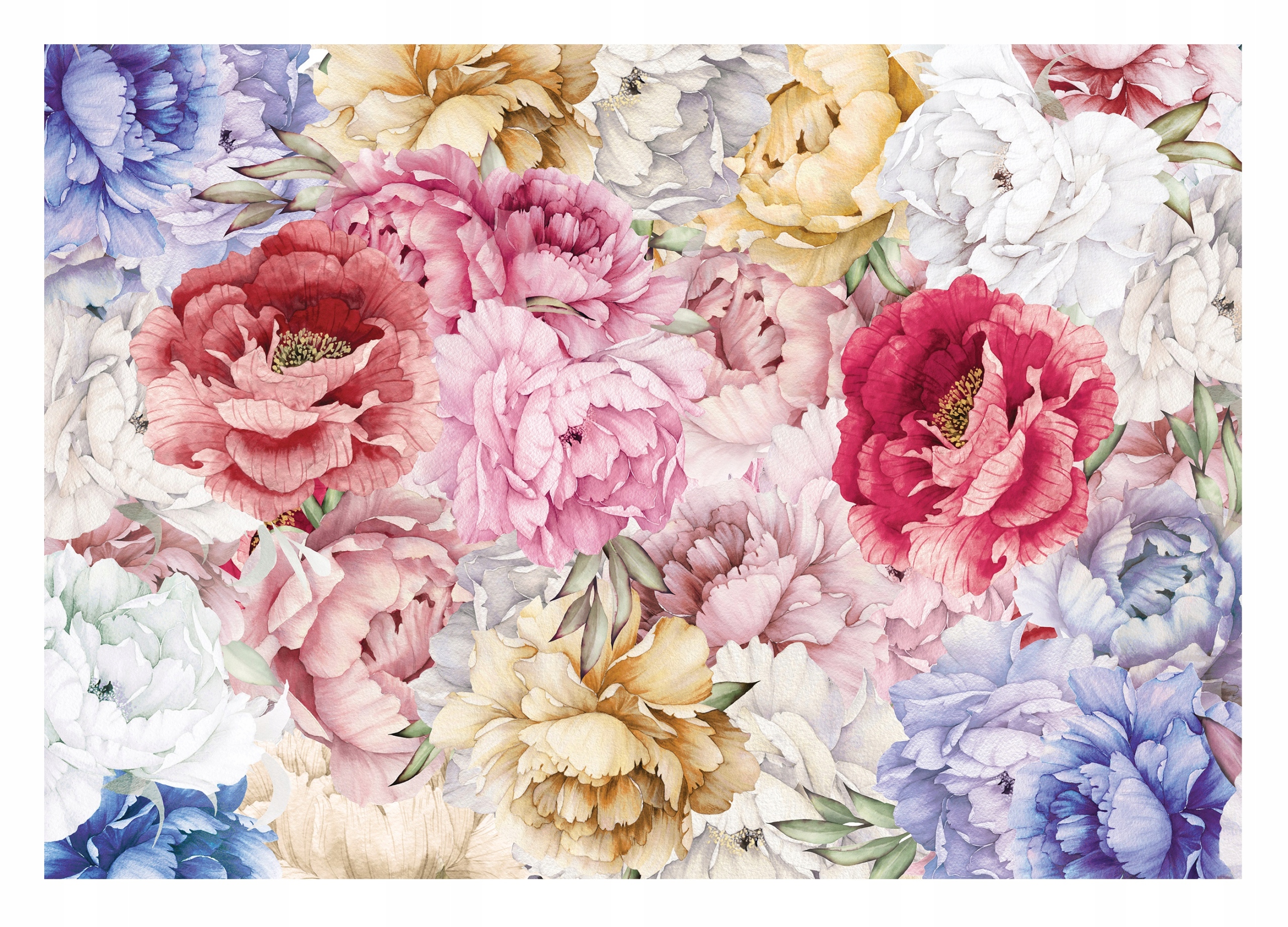 Fototapeta Barevné Květiny Pivoňky Obývací pokoj 312x219