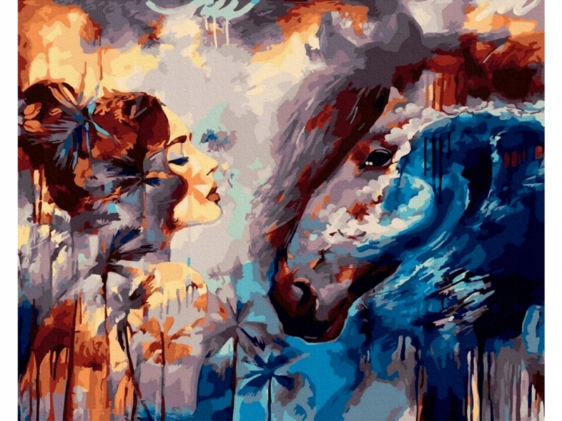 Obraz Malování Podle Čísel Rám 50x40cm Pohled Žena A Kůň