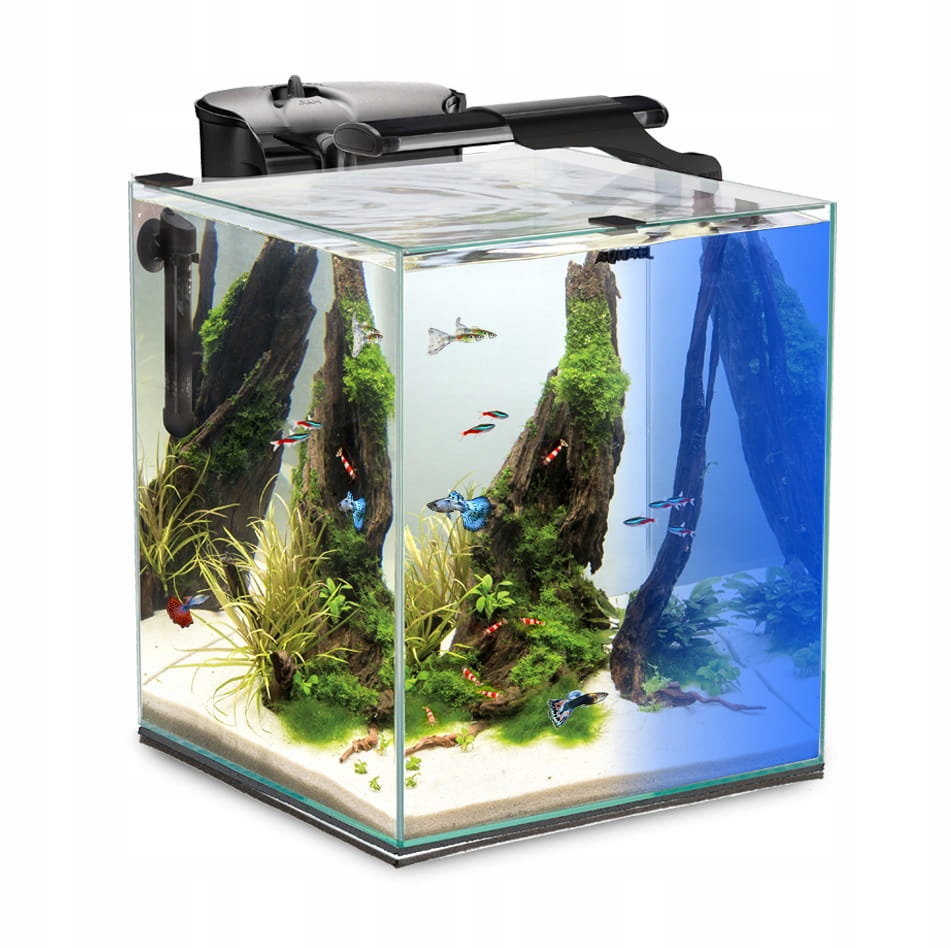 

Aquael Akwarium Shrimp Set Duo D&n Czarne 49L