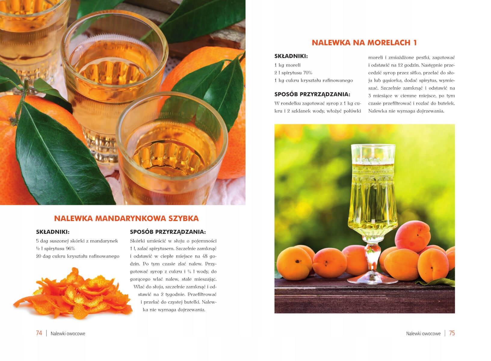 ATLAS NALEWEK POLSKICH RECEPTURY SKKŁADNIKI PORADY DOMOWE SPOSOBY PORADNIK Wydawnictwo SBM