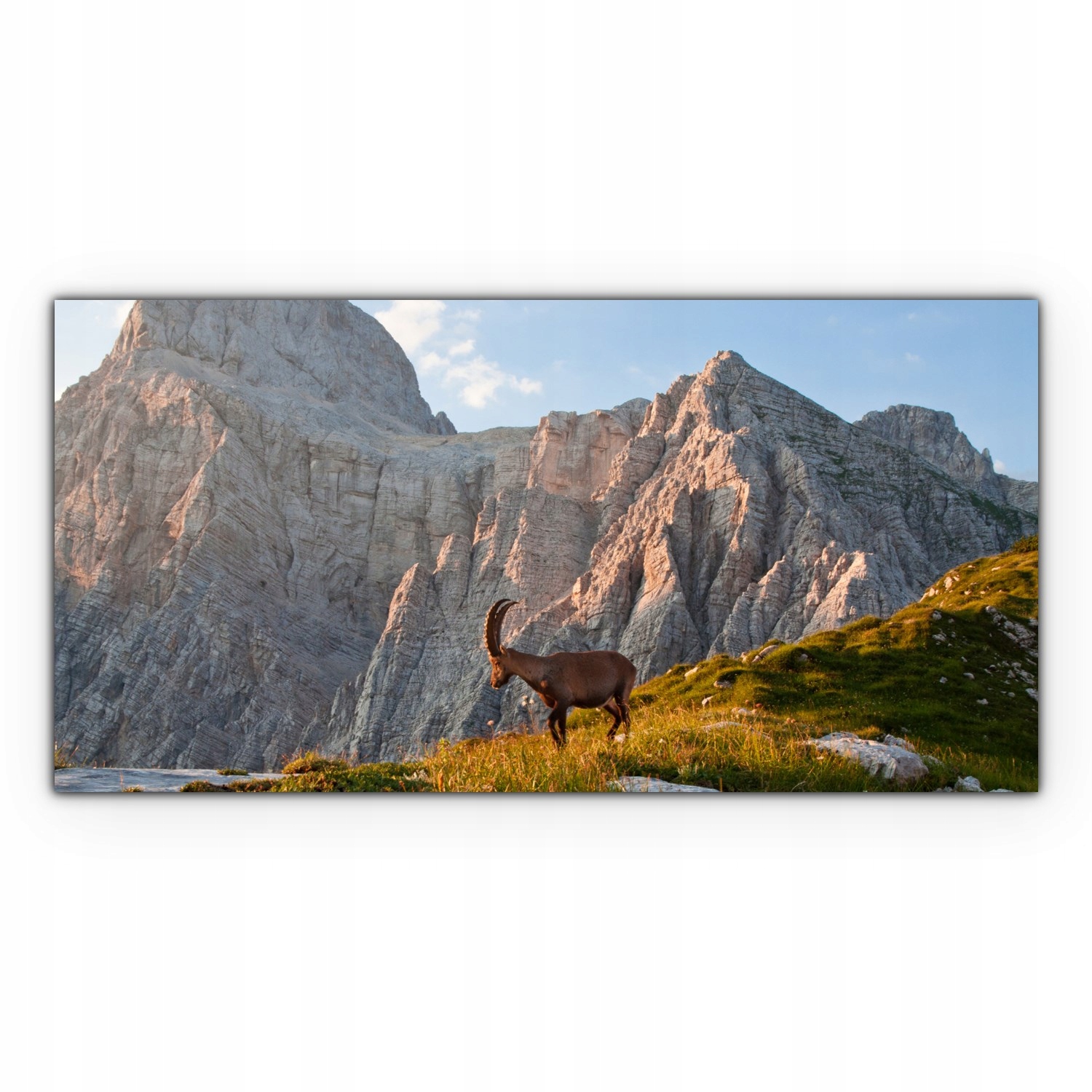 

Canvas na ramie ścienny 140x70 Góry Koza Zwierzę