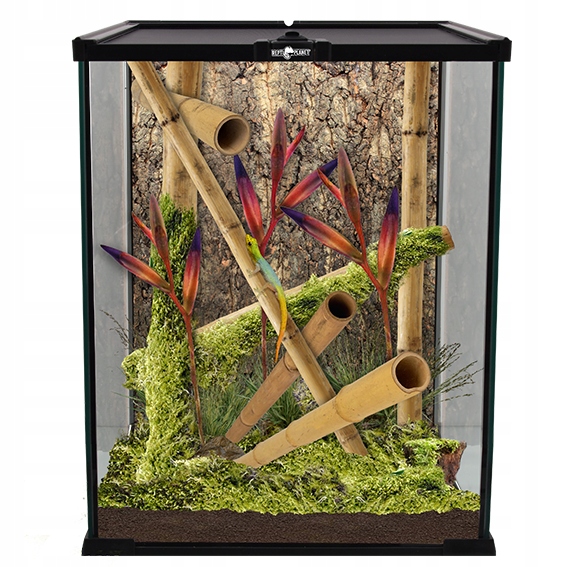 Repti Planet Terrarium szklane wentylowane od góry 20x20x30cm