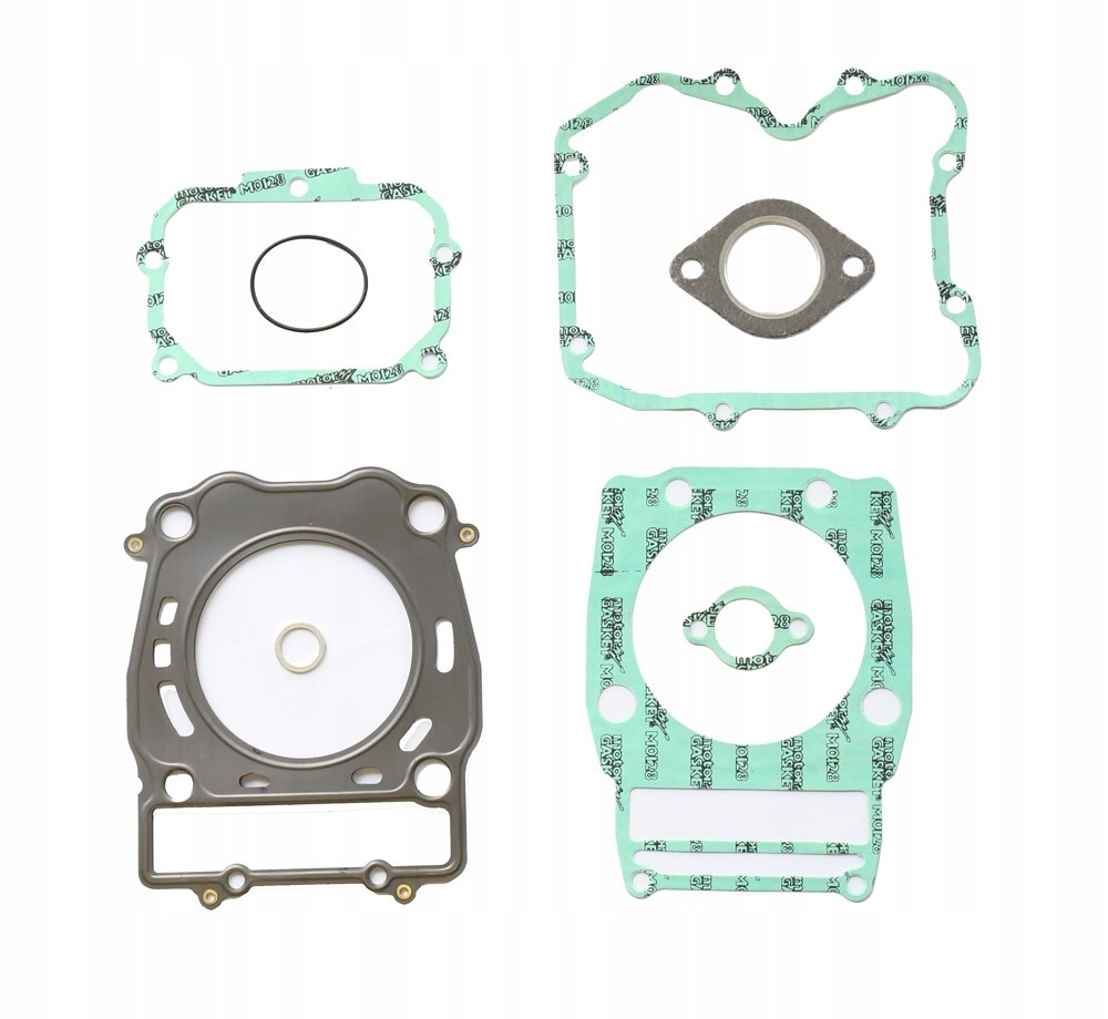 Tesnenia polaris sportman Athena P400427600006