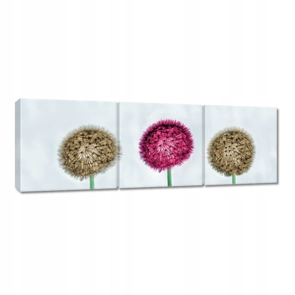 

Obrazy 120x40 Dmuchawce