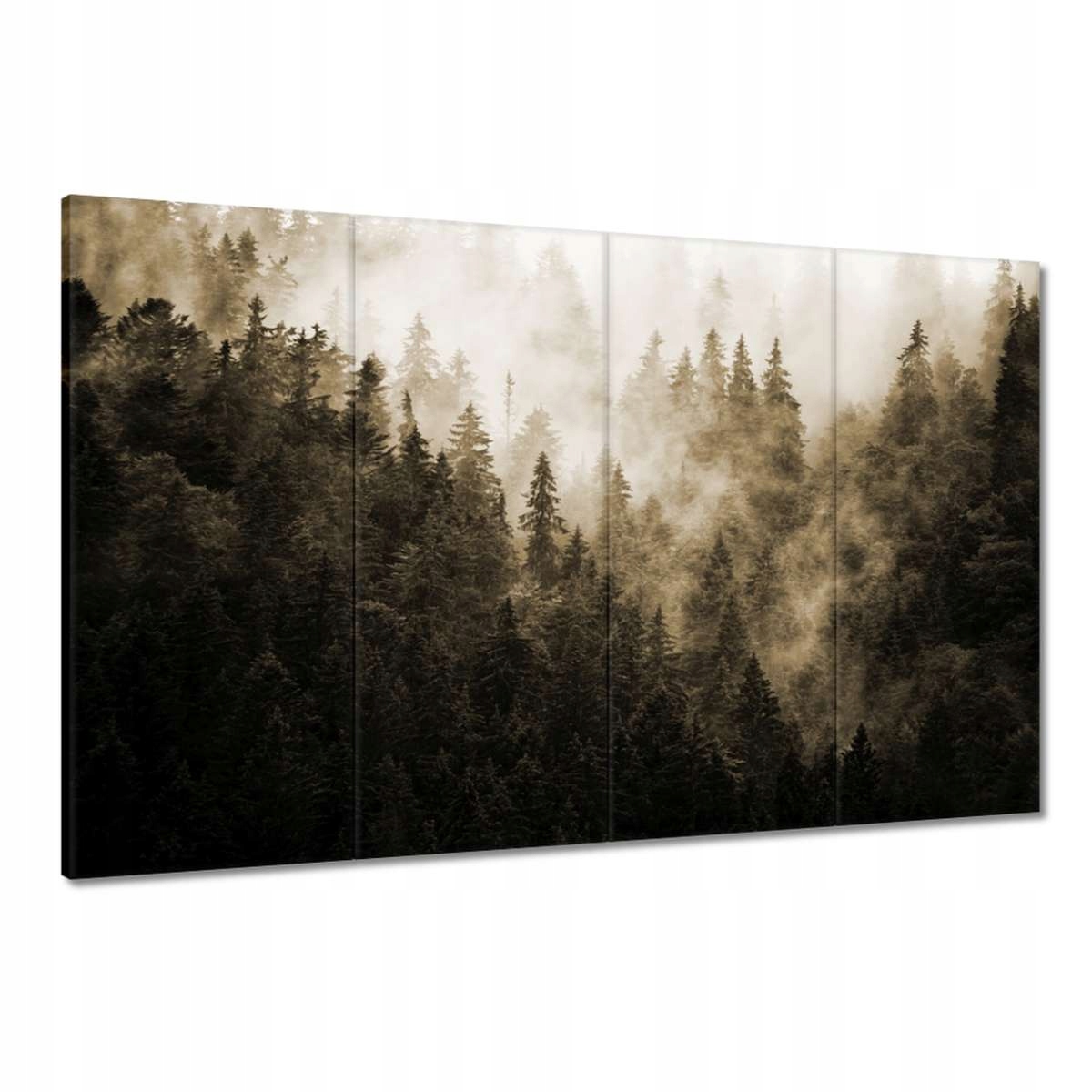 Obrazy 120x80 Krajina Sépie Hory Mlha