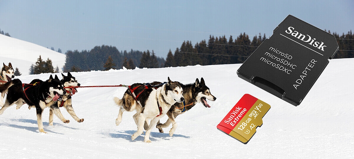 Karta pamięci SANDISK microSDXC Extreme 128GB Typ karty SDXC