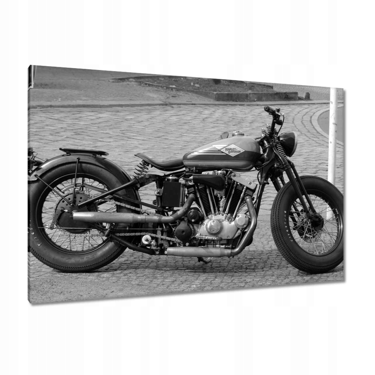 Obrazy 120x80 Harley Davidson Motocykl