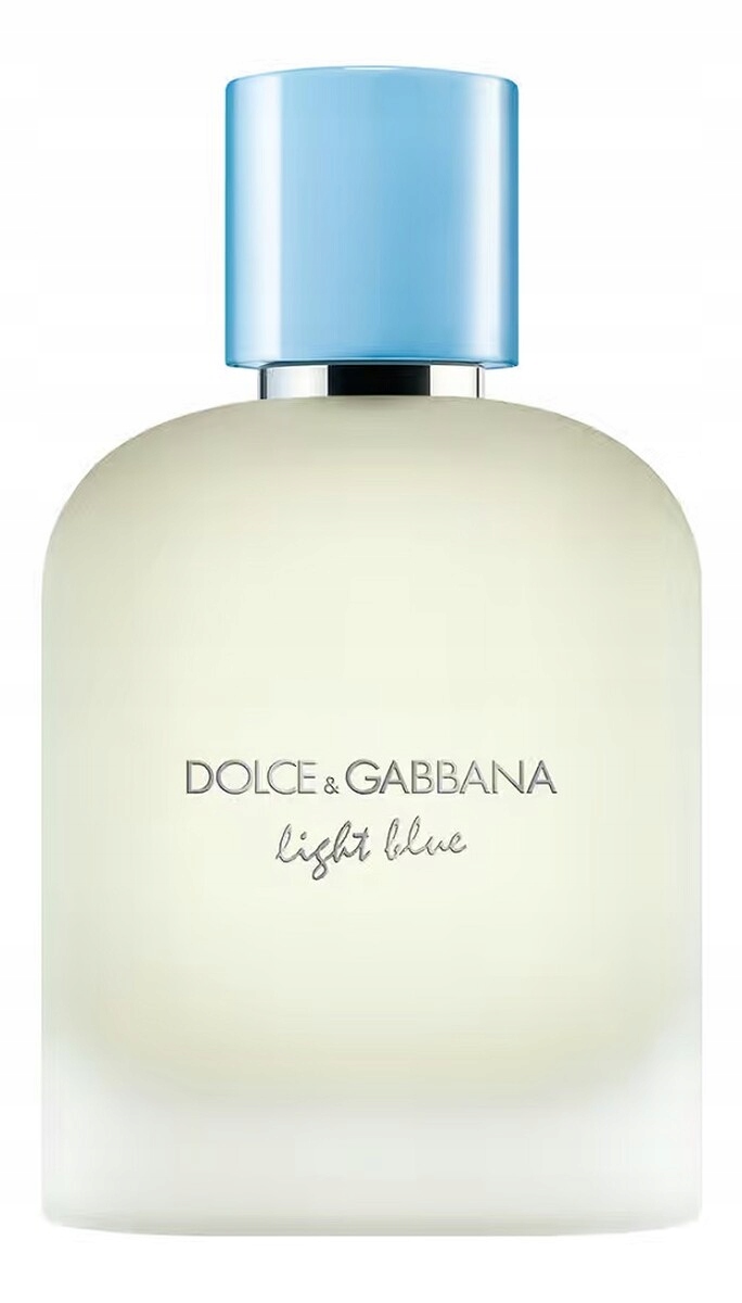 Dolce & Gabbana Light Blue Pour Homme Toaletní voda sprej 100 ml