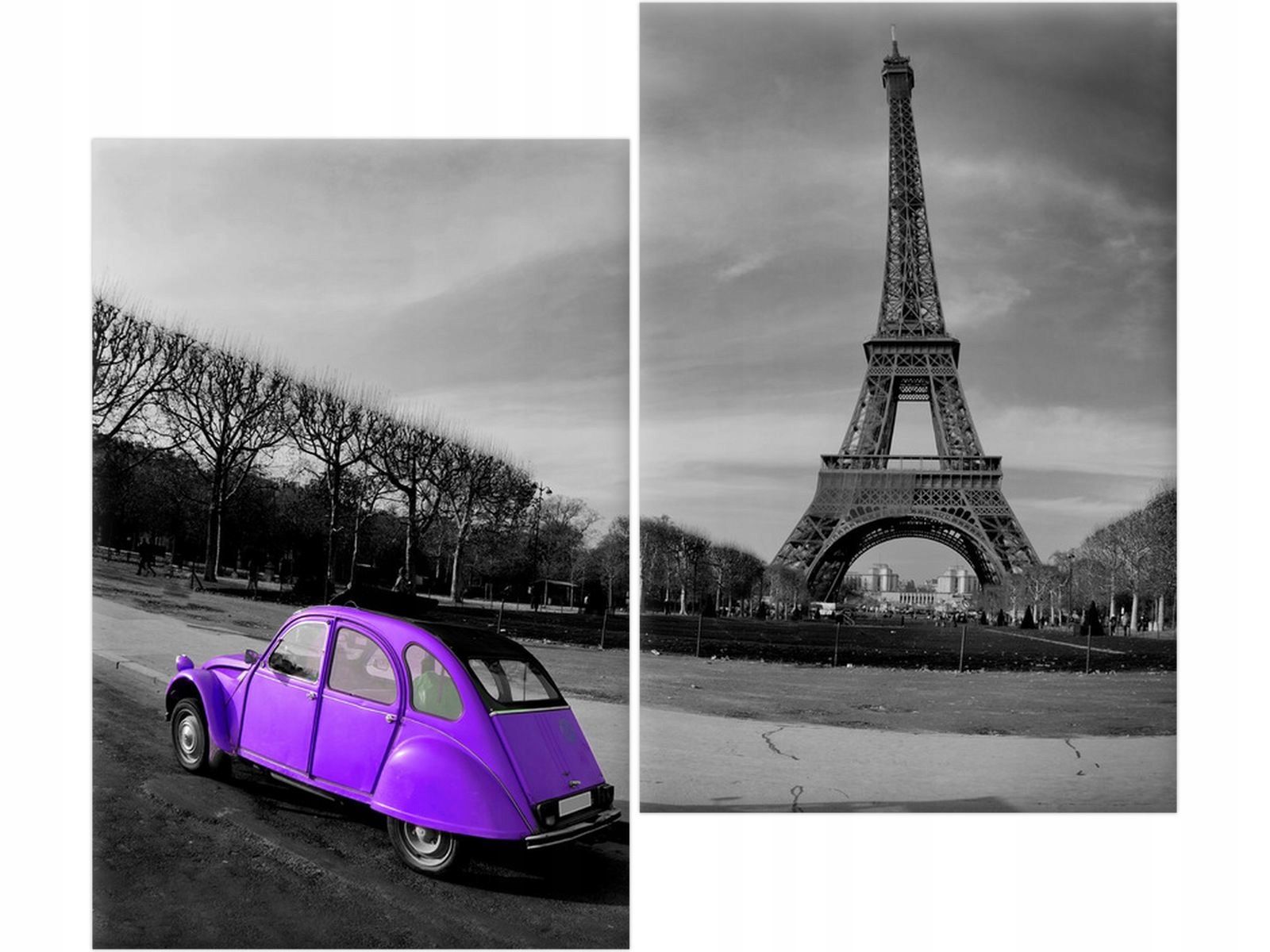 

Obraz drukowany Violet old style tanio
