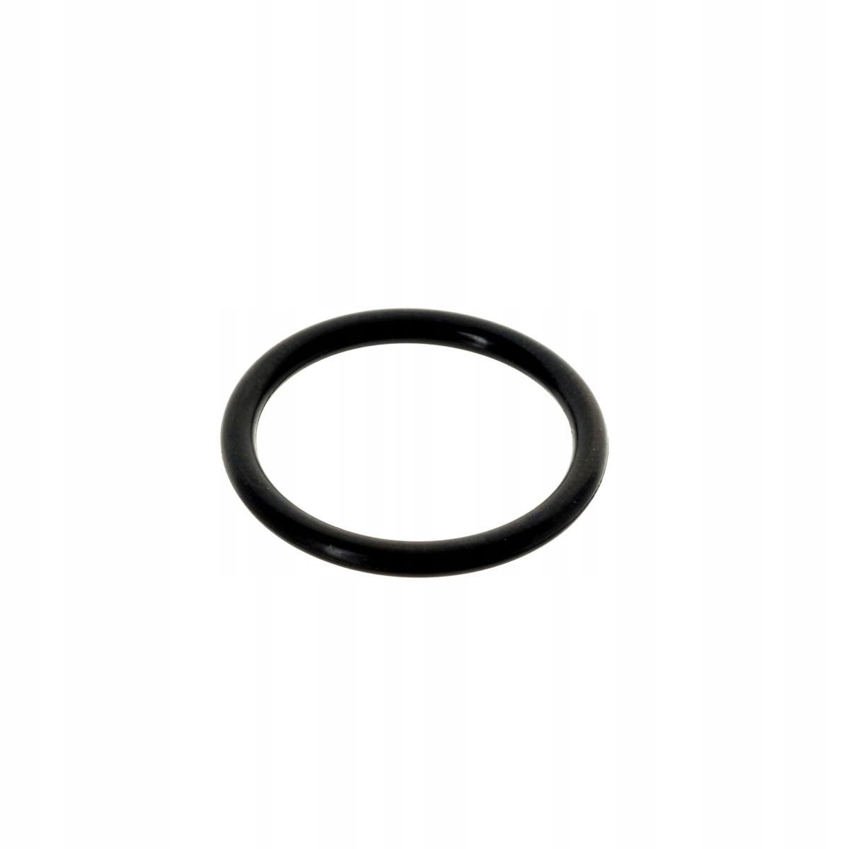 

Pierścień Oring Filtra 20,3x2,4 54510319 Ursus