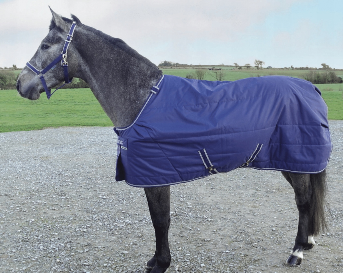 Derka stajenna/podpinka Quilt Sd 150g Bucas navy 155 cm