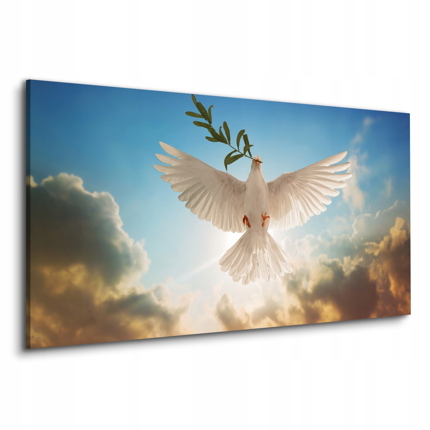 

Fotografia na płótnie Gołąb gałązka oliwna 120x60