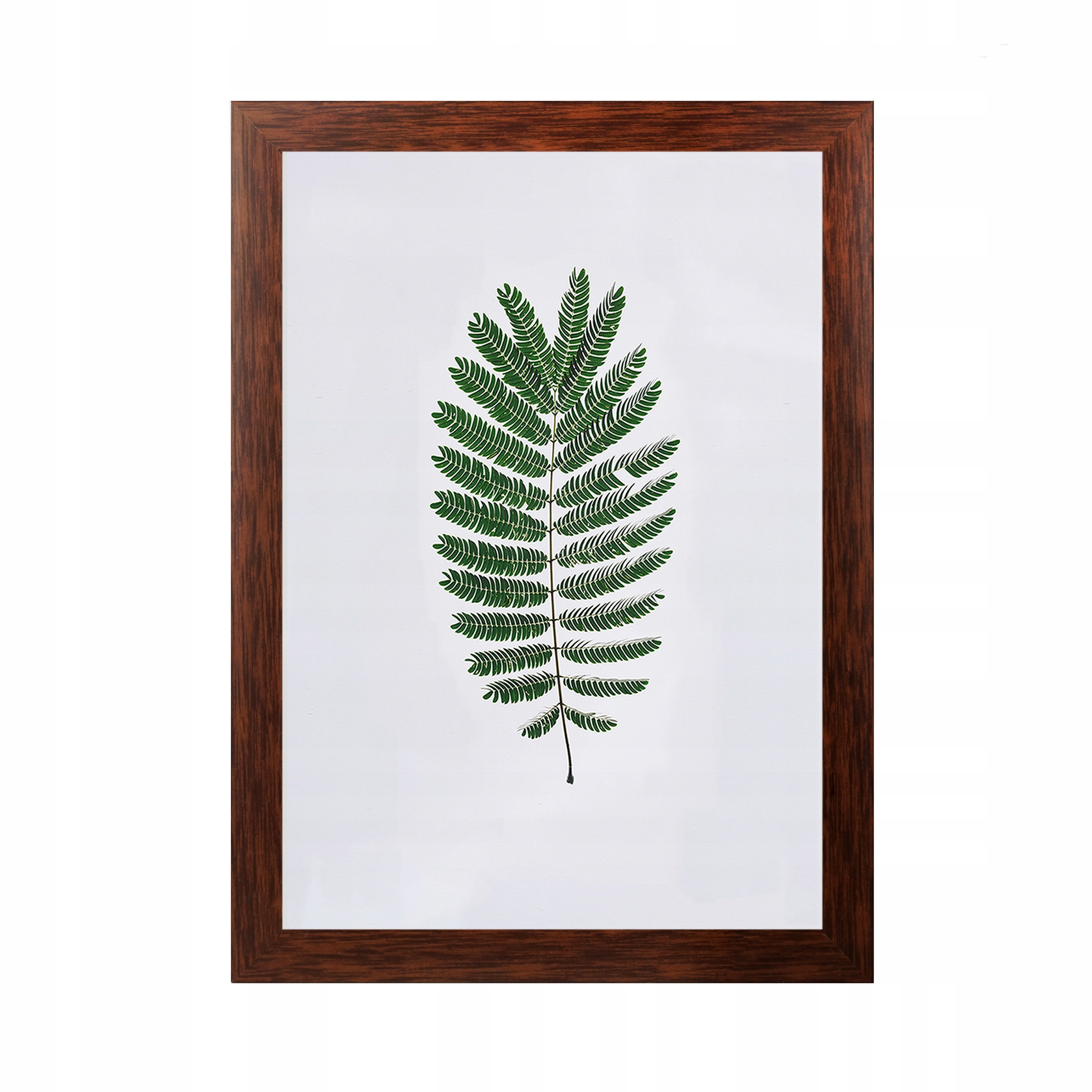 

Ramki na zdjęcia 15x21 Ramka 20 kolor Ciemny brąz