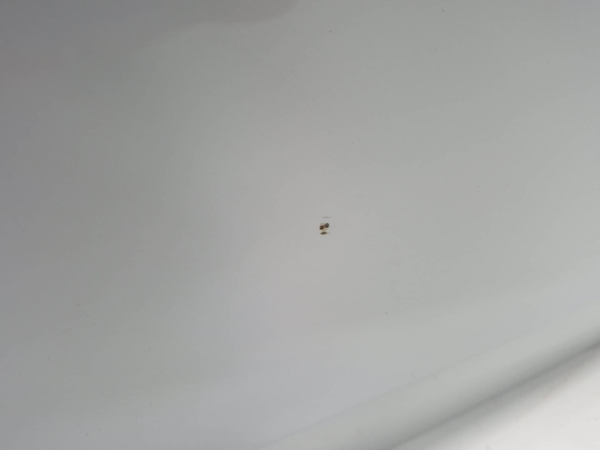 door left rear part left rear. SEAT LEON III KOMBI 5D LS9R