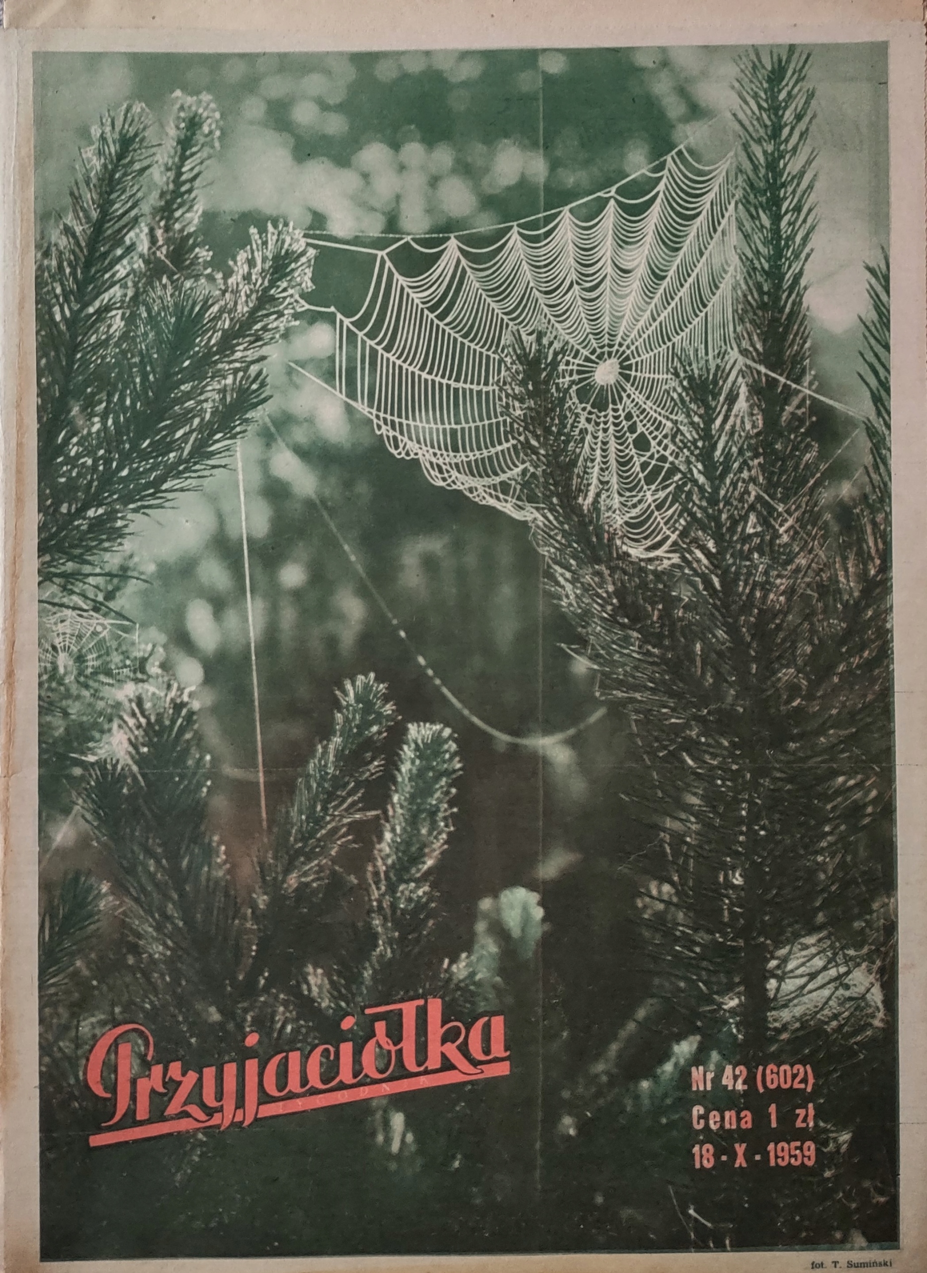 Przyjaciółka 42 1959