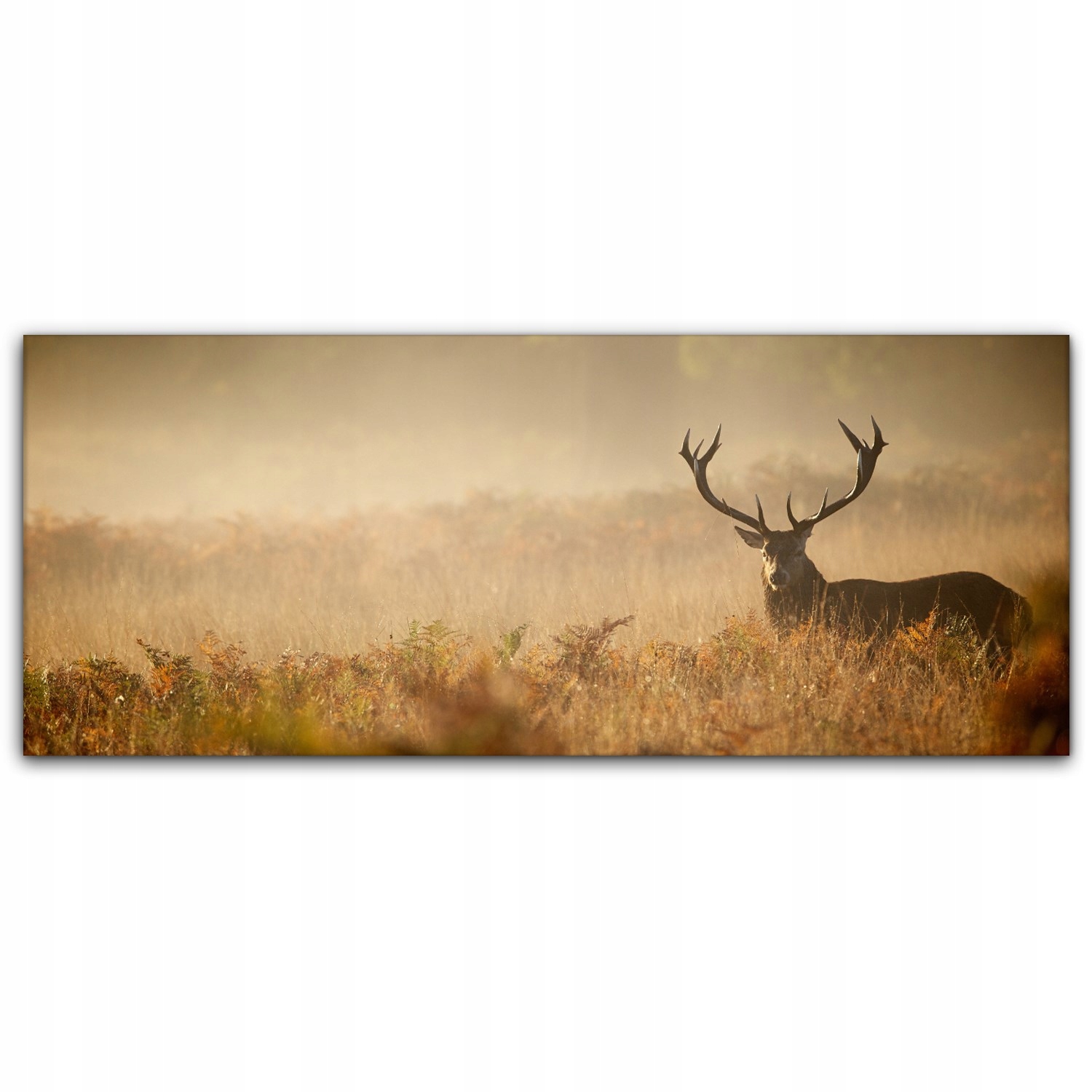 

Canvas na ramie na ścianę 125x50 Jeleń Mgła Łąka