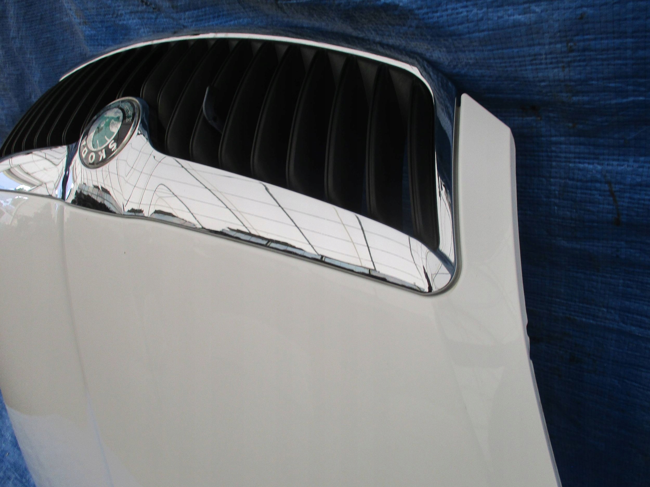 E8b5b2334c698e7adb5635069687