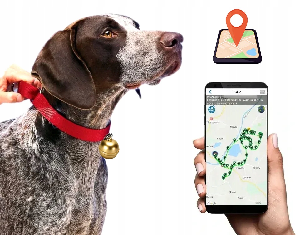 

Lokalizator Gps Psa Kota Aplikacja MK15P