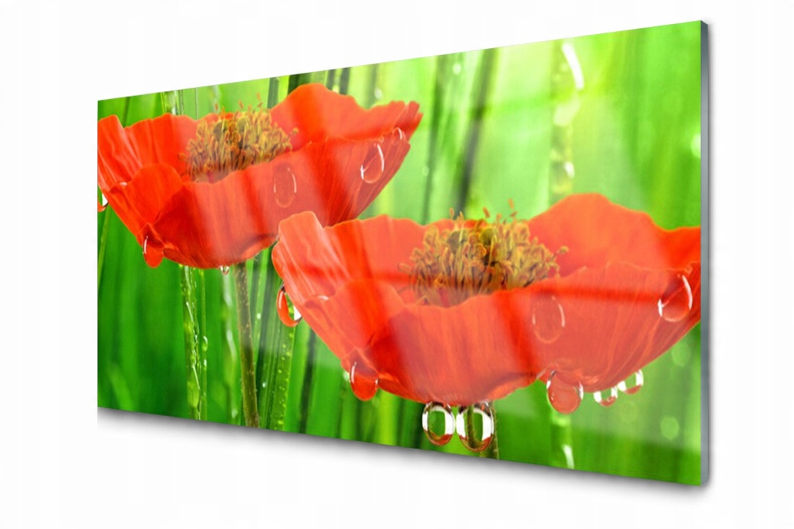 

Panel szklany dekor Maki Roślina 140x70 + Klej