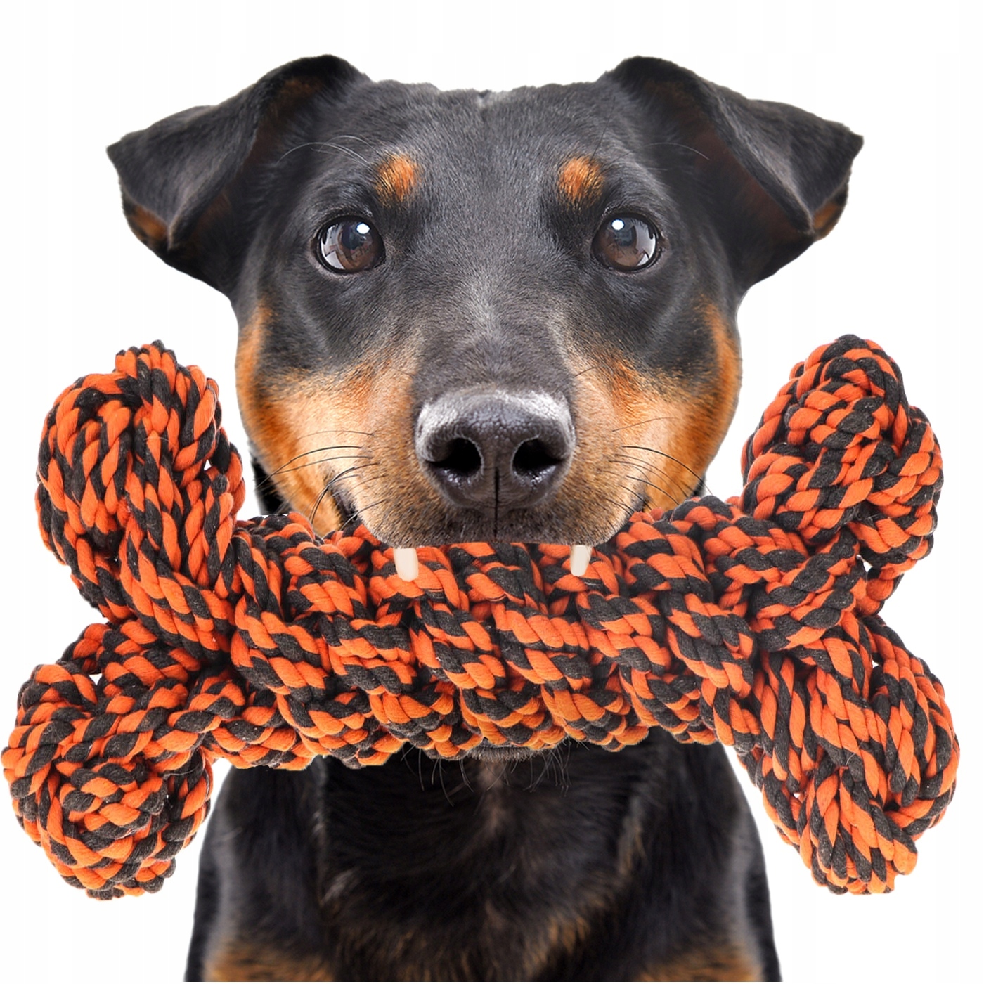 Levně Happypet Knots Extreme Bone Hračka Pletená Šňůra