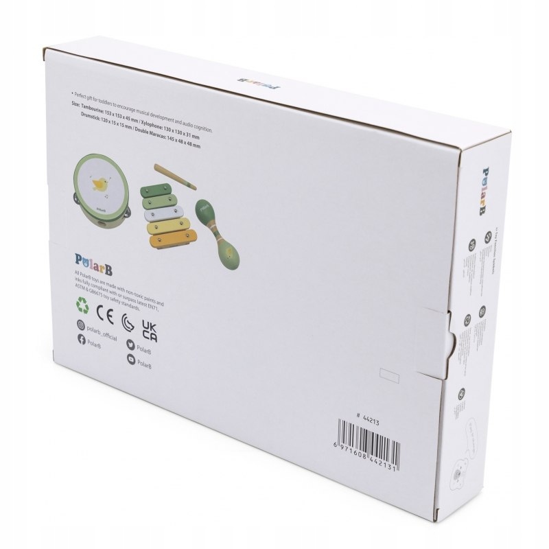 VIGA PolarB Zestaw Instrumentów Muzycznych Zielony Marka Viga