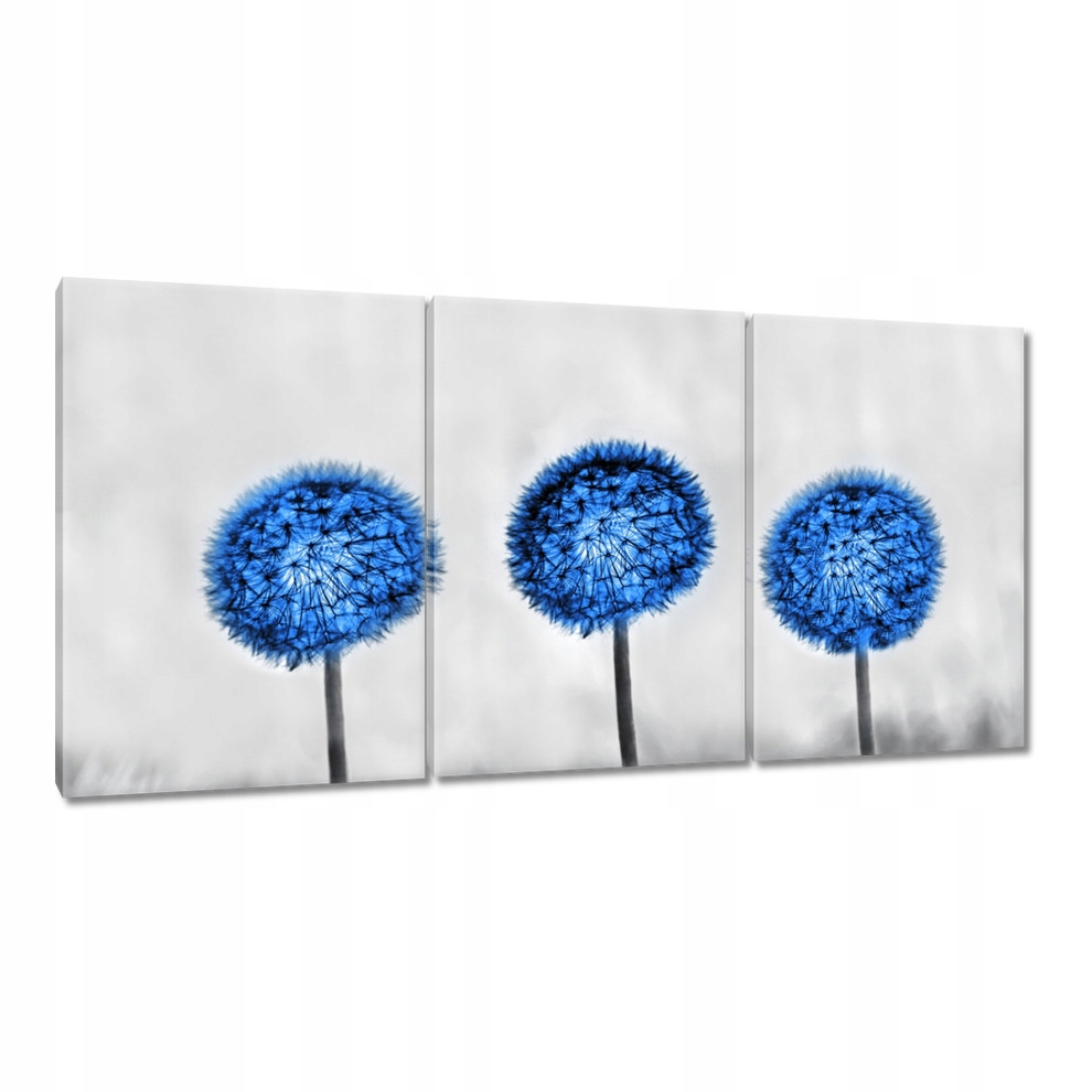 

Obrazy 120x60 Niebieskie dmuchawce