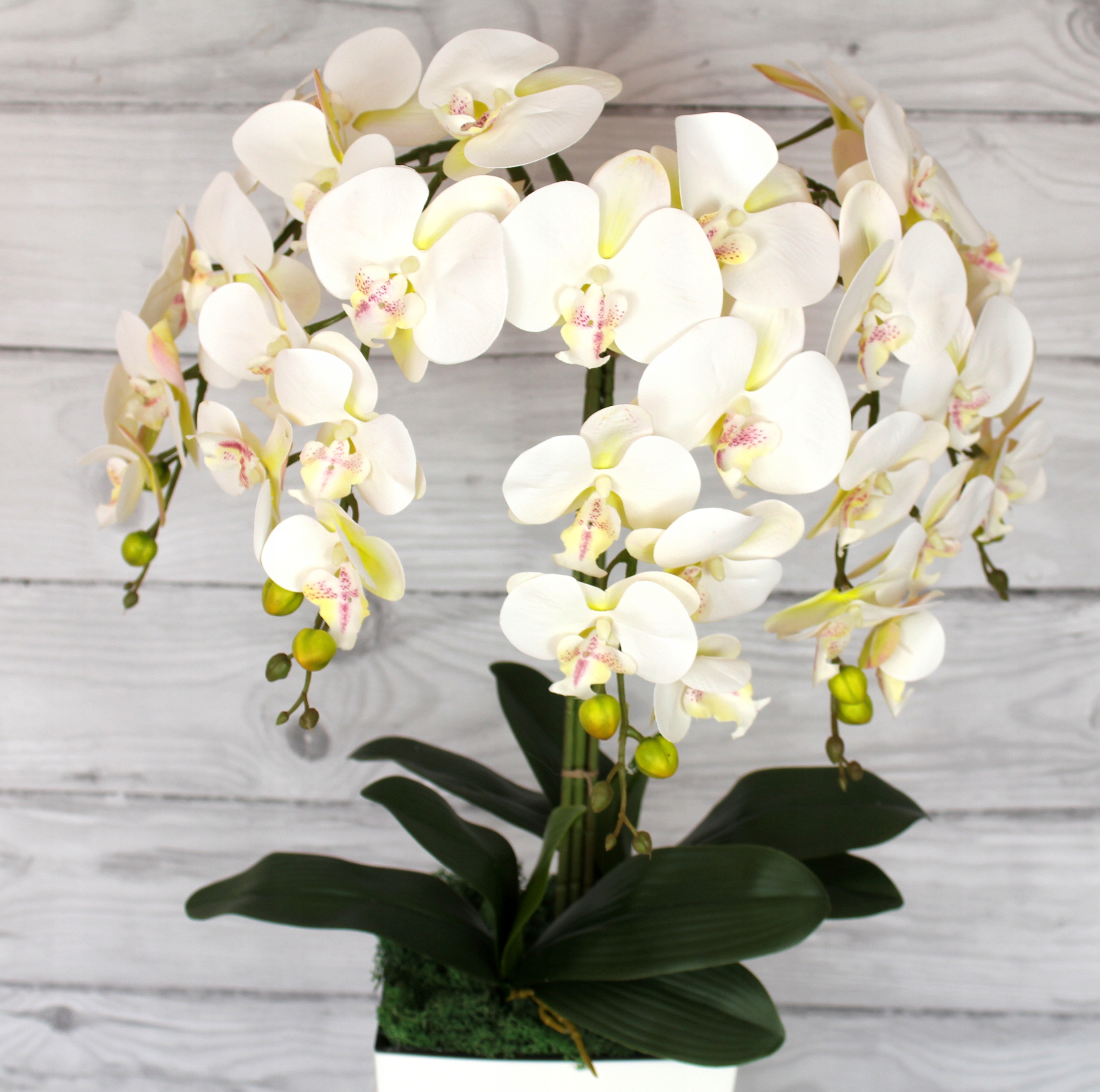STORCZYK SZTUCZNY STORCZYKI ORCHIDEA KWIAT KWIATY Kod producenta 1