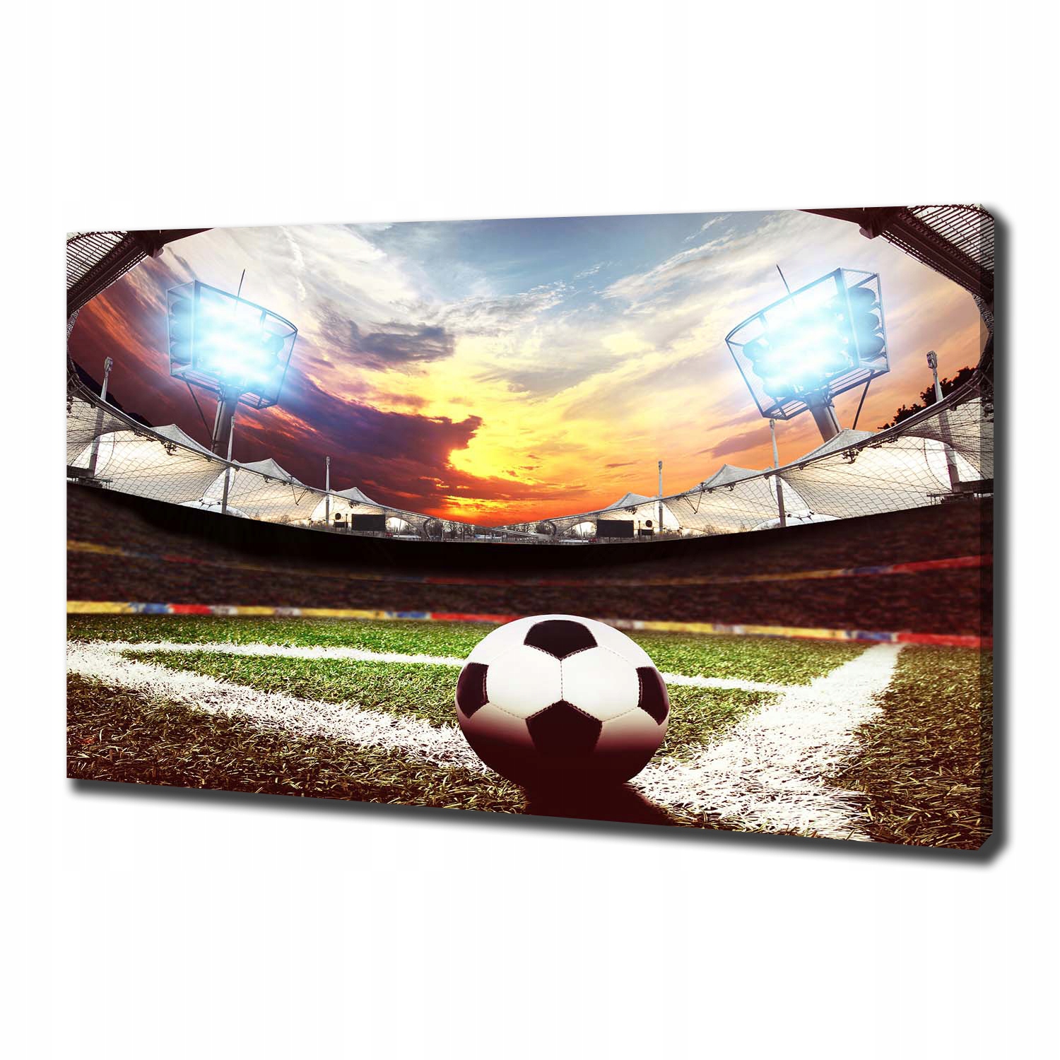 

Foto obraz na płótnie Piłka na stadionie 100x70 cm