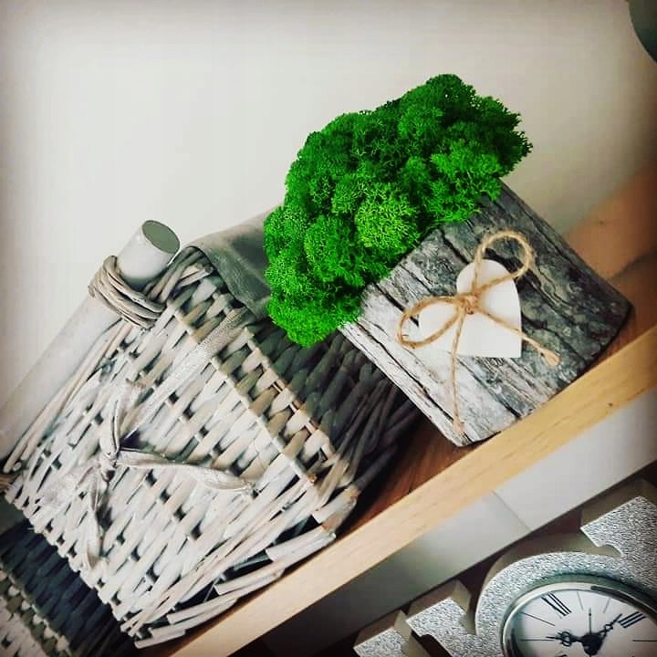 DEKORACJA MECH CHROBOTEK KUBEŁEK OZDOBA DO DOMU Forma w doniczce, pojemniku