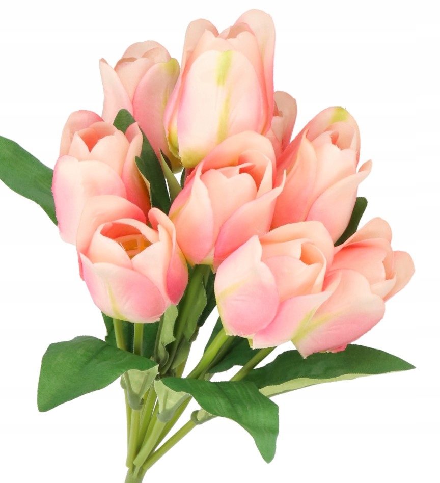 

Tulipany Bukiet Tulipanów Gumowane Gumowe Jak Żywe