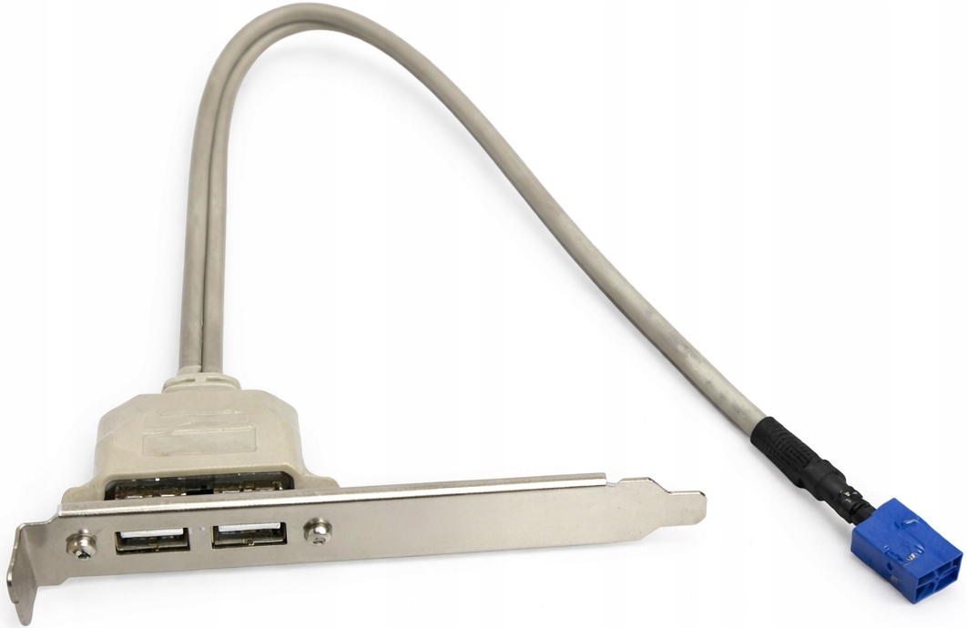 ASUS Śledź USB 2.0 2-portowy – Wewnętrzny Kabel USB