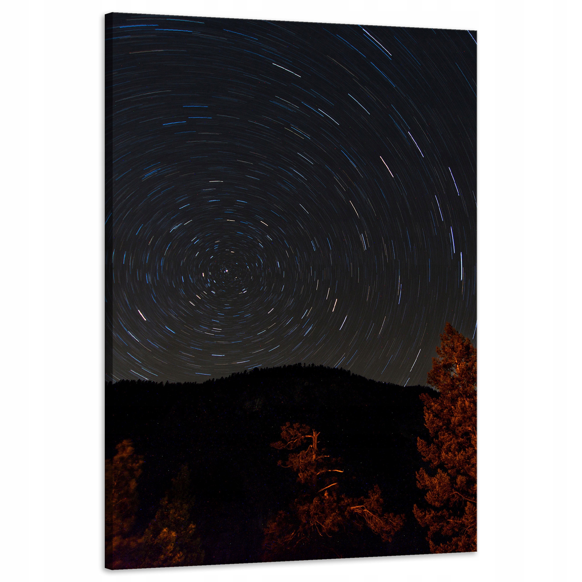 Obraz na plátně Příroda Les Noc Hory Abstrakce Stromy 60x90