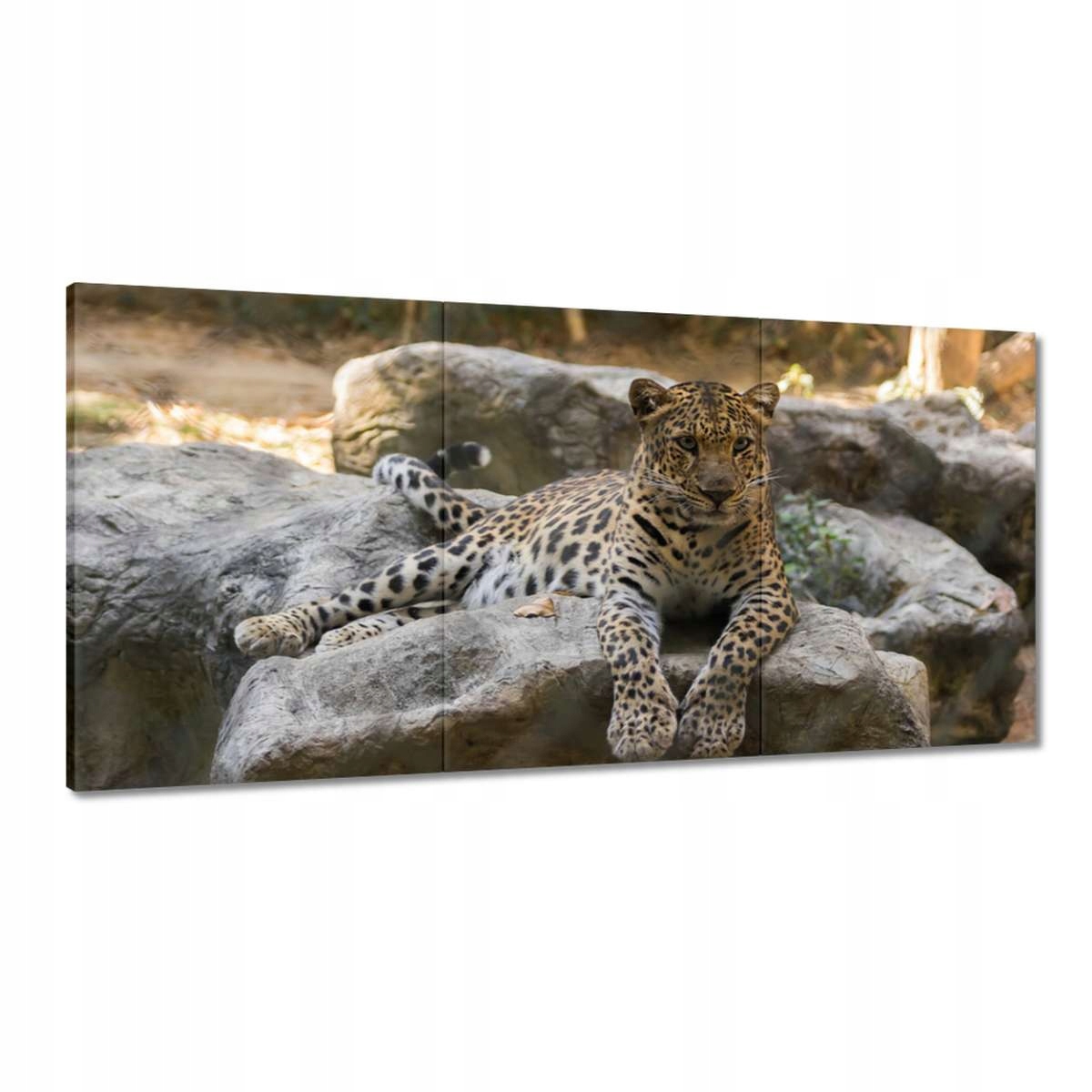 Obrazy 180x90 Leopard