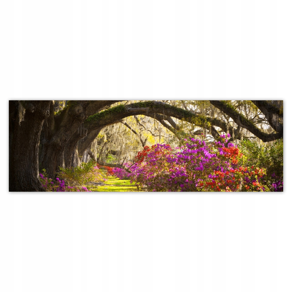 

Fototapety flizelina 312x104 Kwiaty w parku