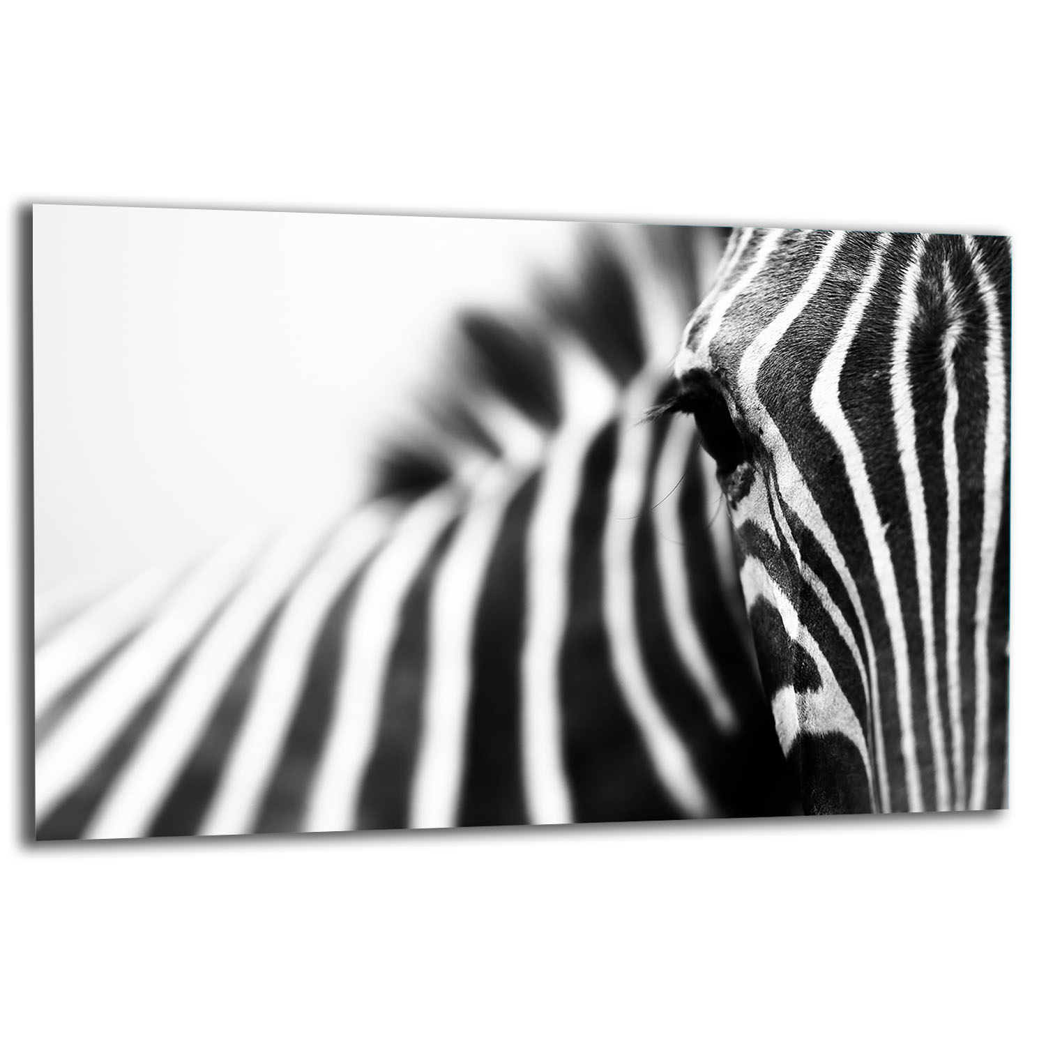 7v1 Skleněná Ochranná Deska Na Sporák 80x52 Zebra