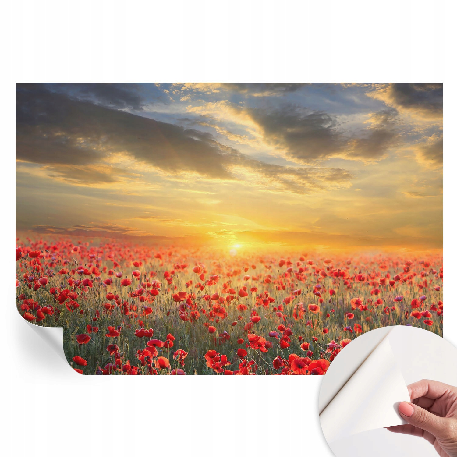 Dekorativní Samolepicí fototapeta do ložnice Makové pole 152 x 104 cm