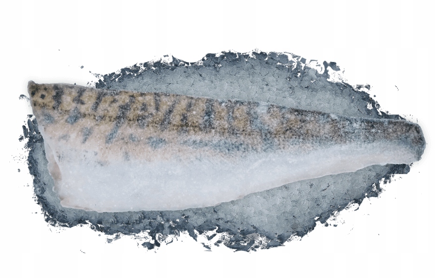 Sandacz Mrożony Filet Ze Skórą 20% Glazury 5kg suchy lód