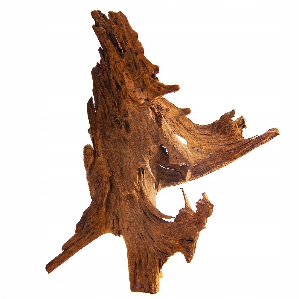 Levně Philippines Classic Driftwood mangrovník z vody XL 40 cm 50 cm
