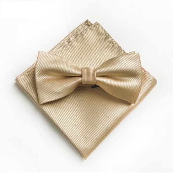 

Mucha i Poszetka męska beżowa w srebrne kropki