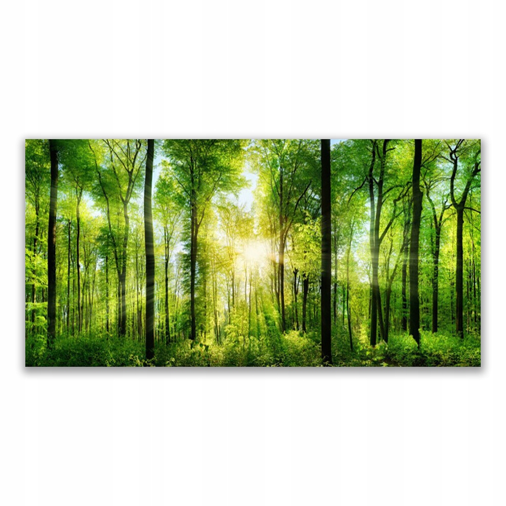 

Fotoobraz akryl ścienny 140x70 Las Natura Drzewa