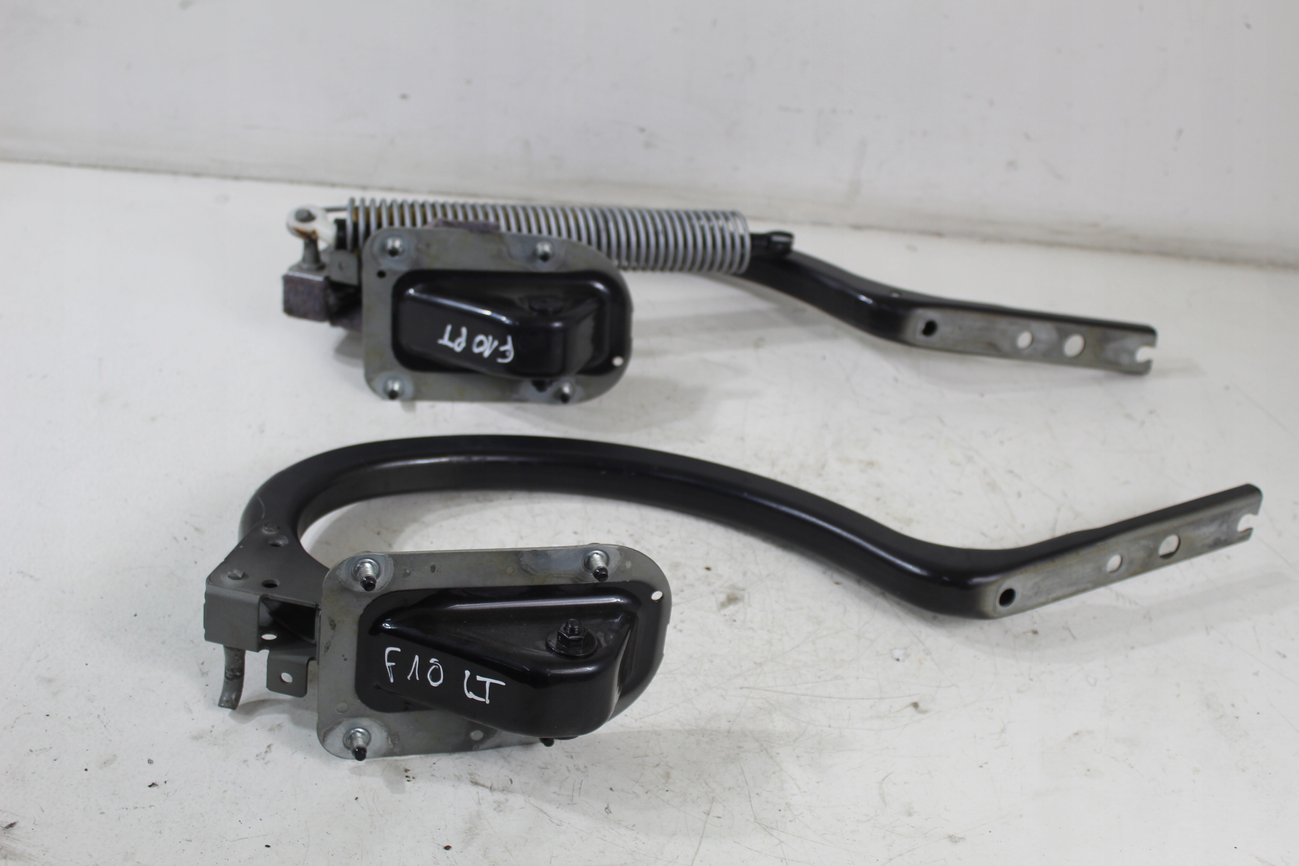 Петлі люка задня в зборі BMW F10