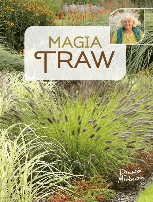 

Magia traw Danuta Młoźniak Multico
