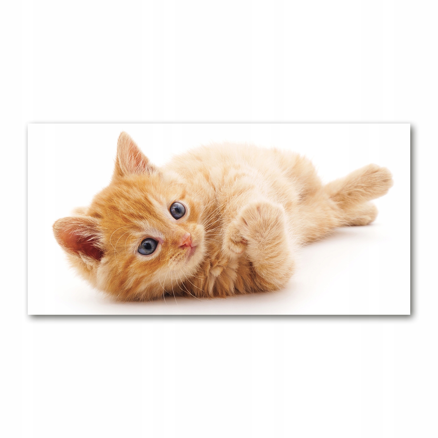 

Foto obraz na szkle akrylowym Rudy kot 120X60 cm