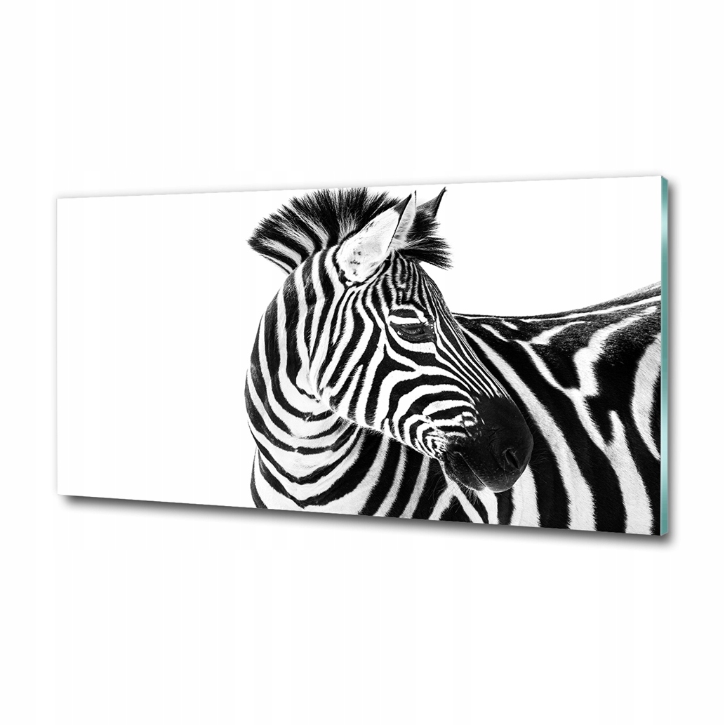 Fotoobraz akryl velký na zeď Zebra ve sněhu