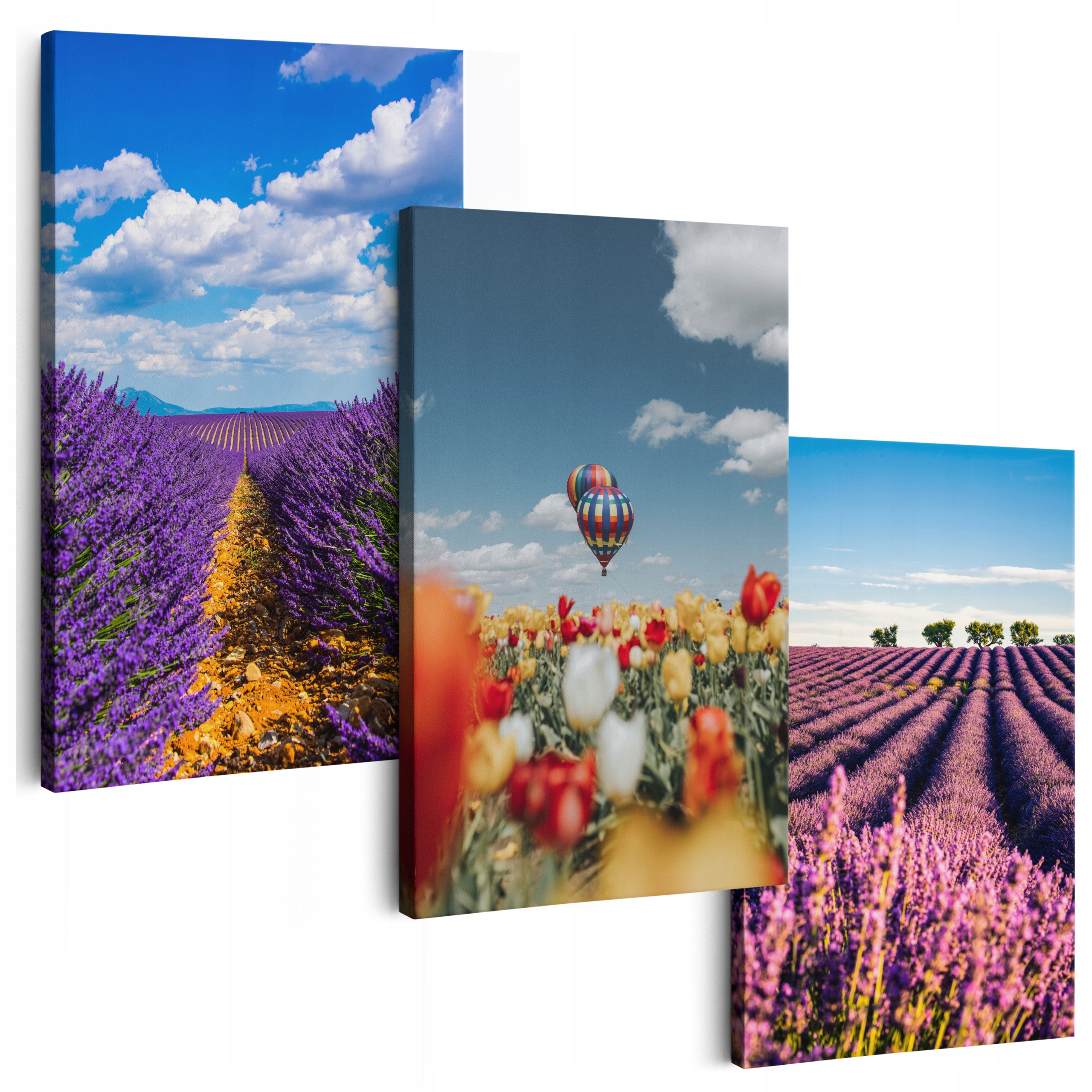 Obraz Na Plátne 180 cm **veľa vzorov** Obrazy Do Salónu Triptyki Kvety