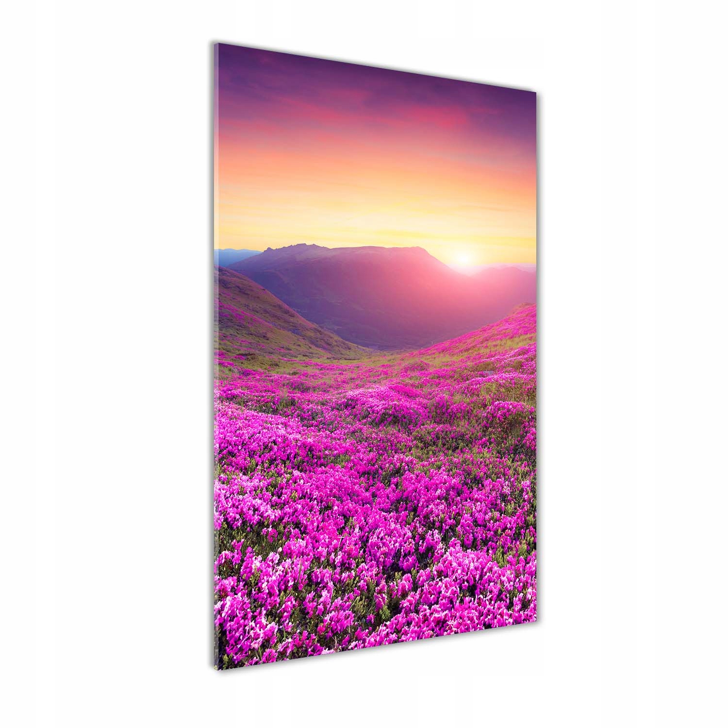 

Foto obraz szkło akrylowe Góry rododendron 70x140