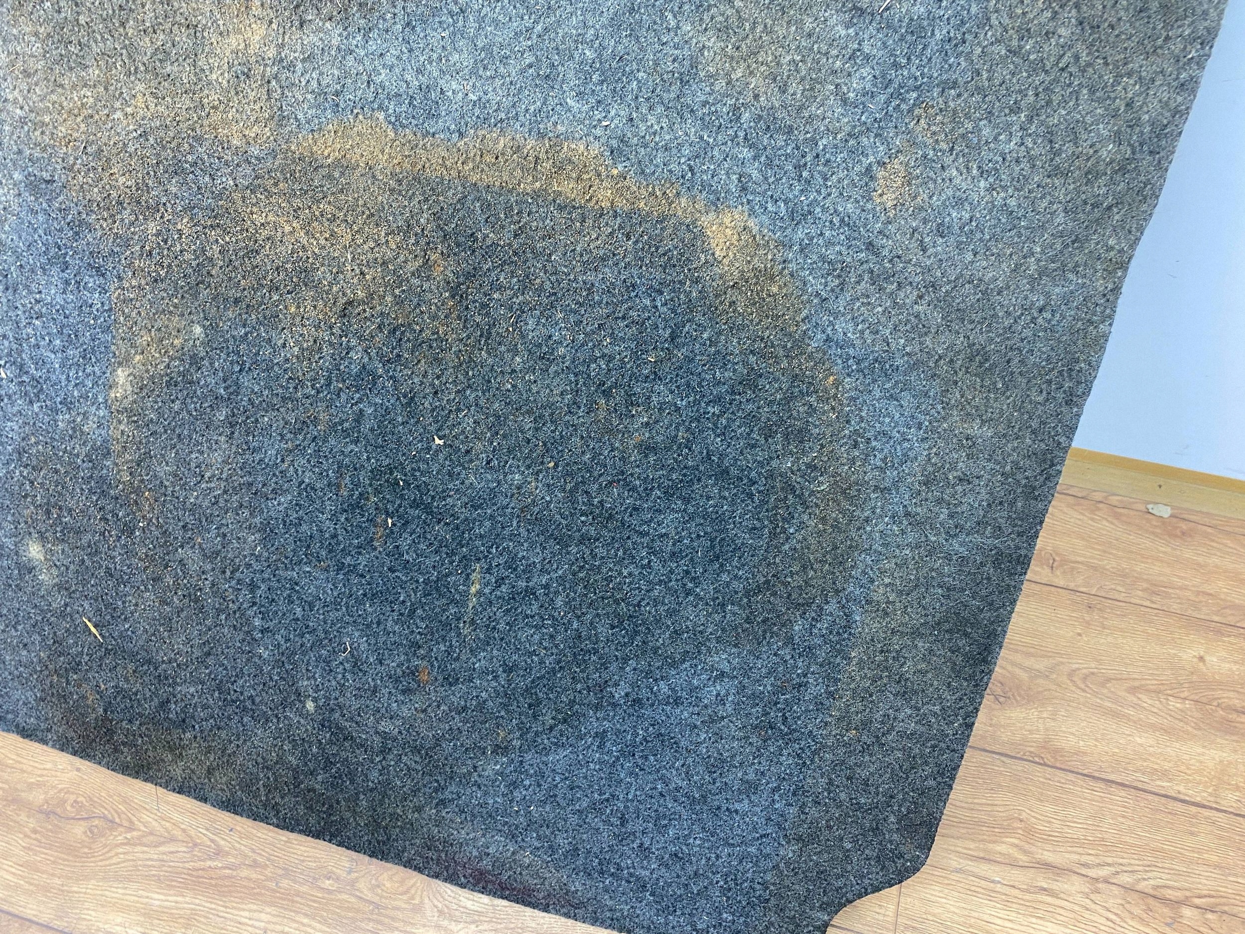 floor mats boot Ford Mustang VI 2015+