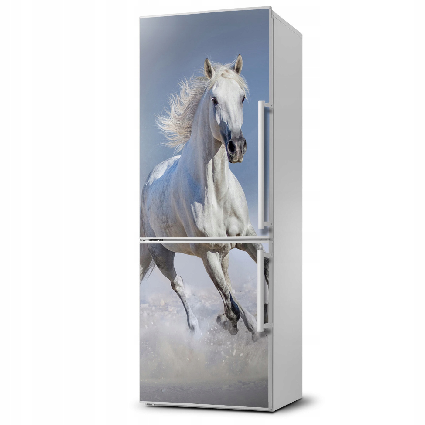 

Naklejka Magnes na lodówkę koń w galopie 60x180